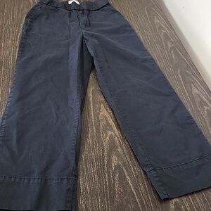 Everlane Cotton Poplin Pull On Wide Leg Pants Sz 4 Black Stretch Quiet Luxury